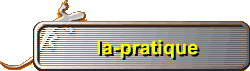 la-pratique