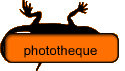 phototheque