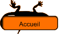 Accueil