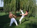 pie_la_roulet_saute