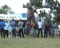 salto_arriere